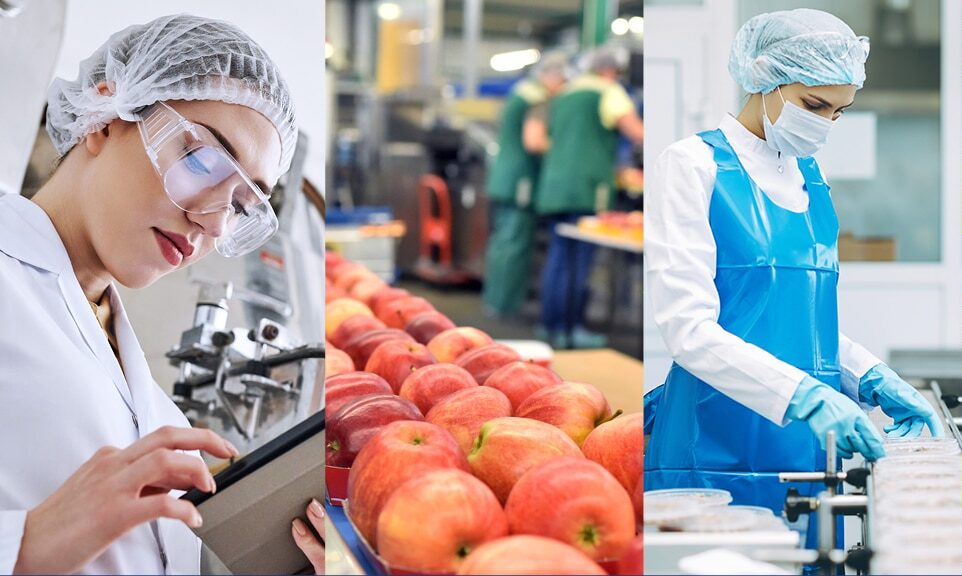 HACCP Refresher