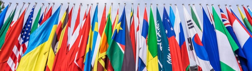 computer researching food safety compliance and regulatory compliance in Brisbane